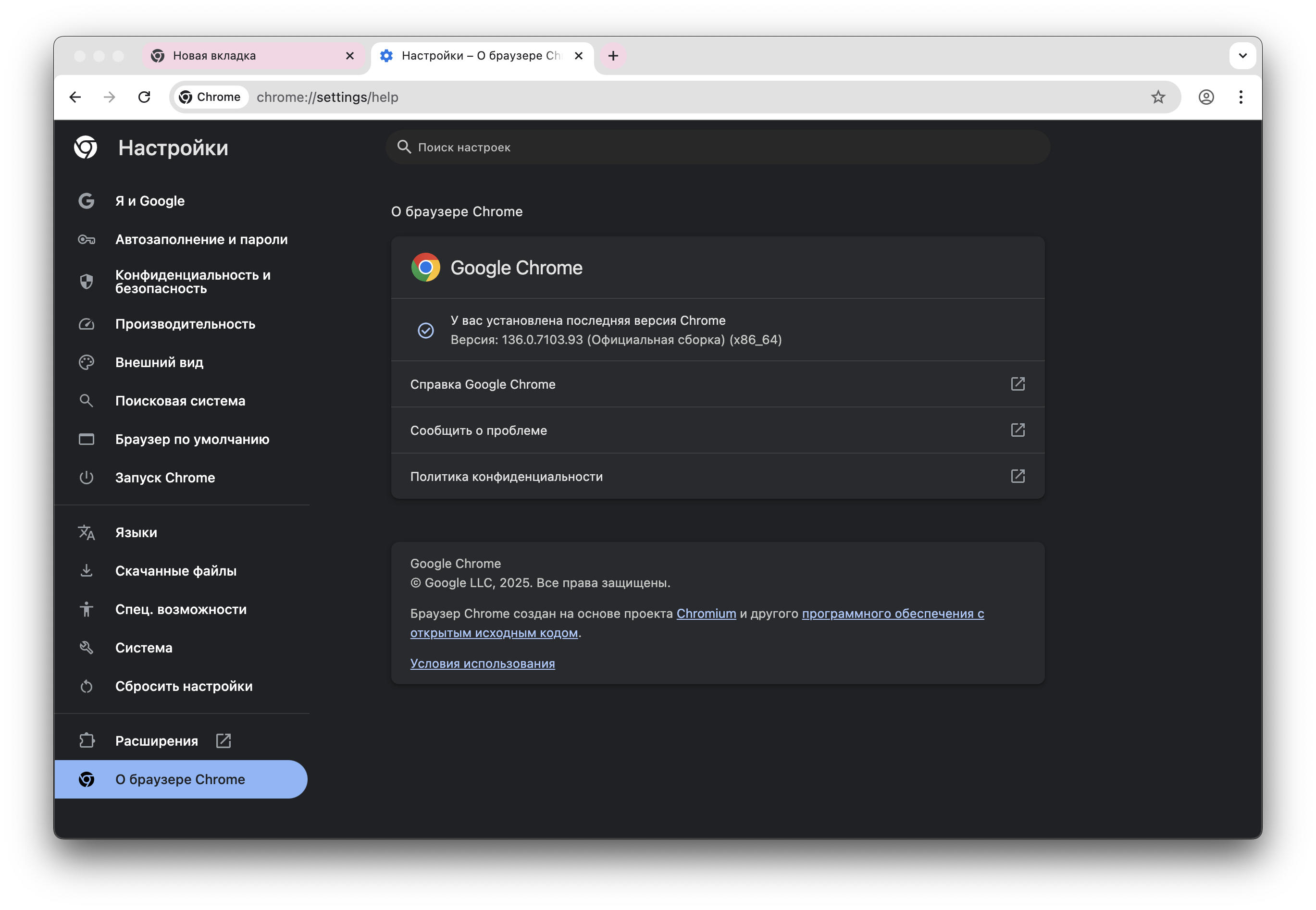 скриншот Google Chrome 2